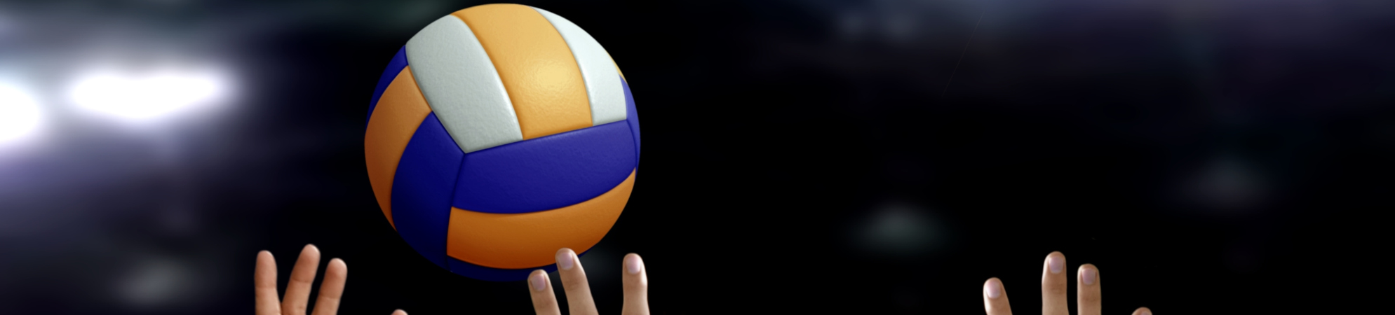 Volleyball Tournament