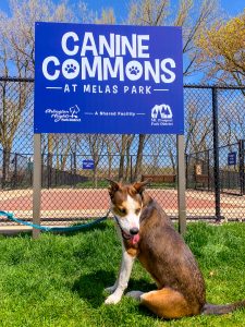 Canine Commons Dog Park
