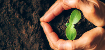 Winter Seed Sowing Workshop