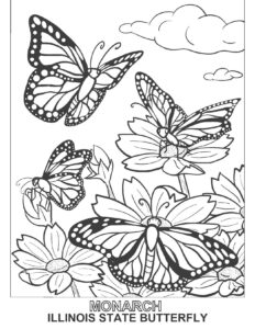 Monarch Butterfly Coloring Page