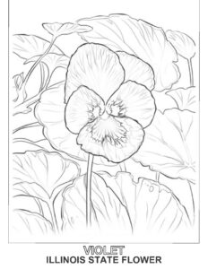 Violet Coloring Page