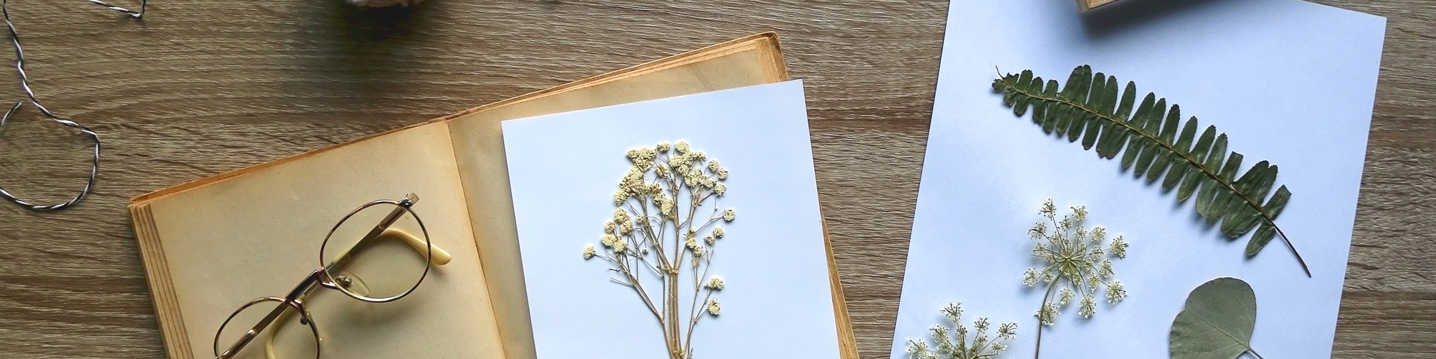 Pressed Flower Art