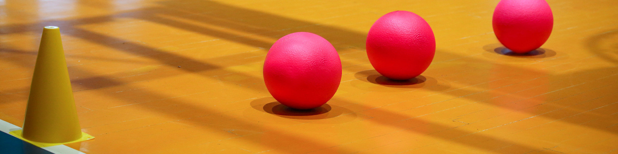 Dodgeball Tournament