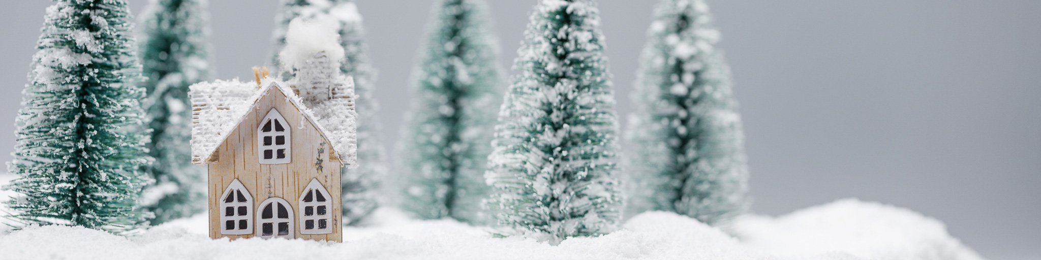 Enchanted Winter Woods Diorama Workshop