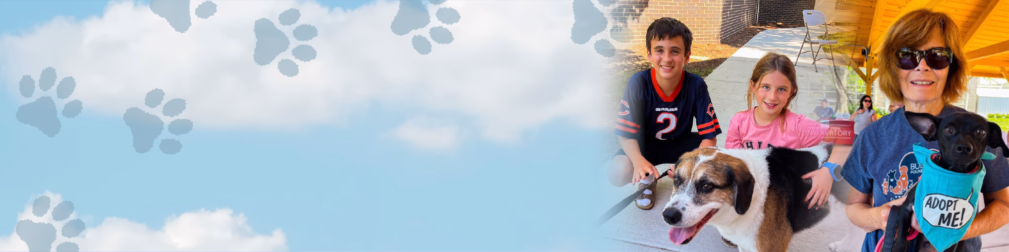 Collage image header
